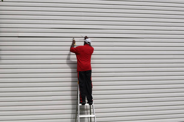 Best Custom Siding Design  in Miami Beach, FL